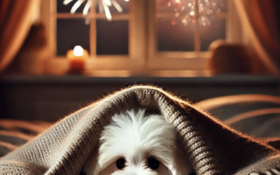 Preparing Your Puppy for New Year’s Eve Celebrations: How to Keep Your Dog Calm During Fireworks